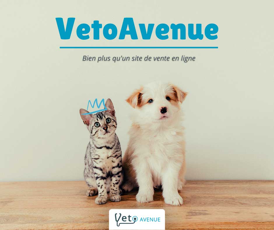 VetoAvenue : le nouveau site Click & Collect de BIOVET