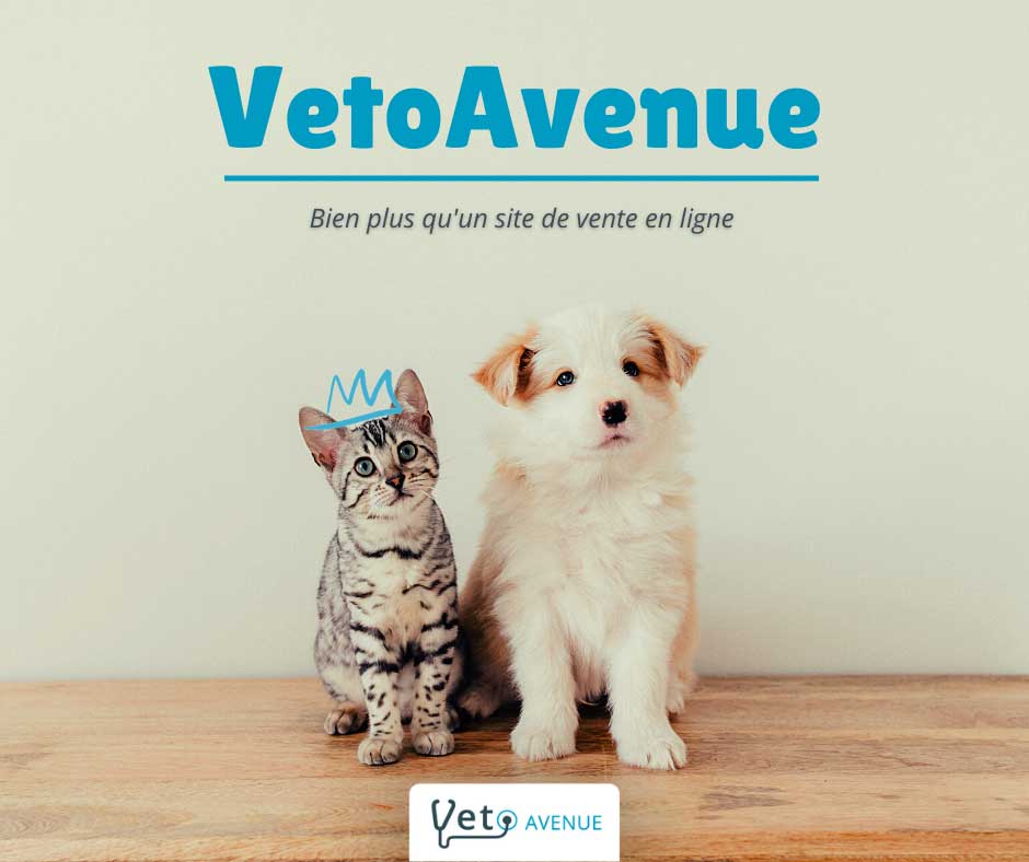 Nouveau service BIOVET 