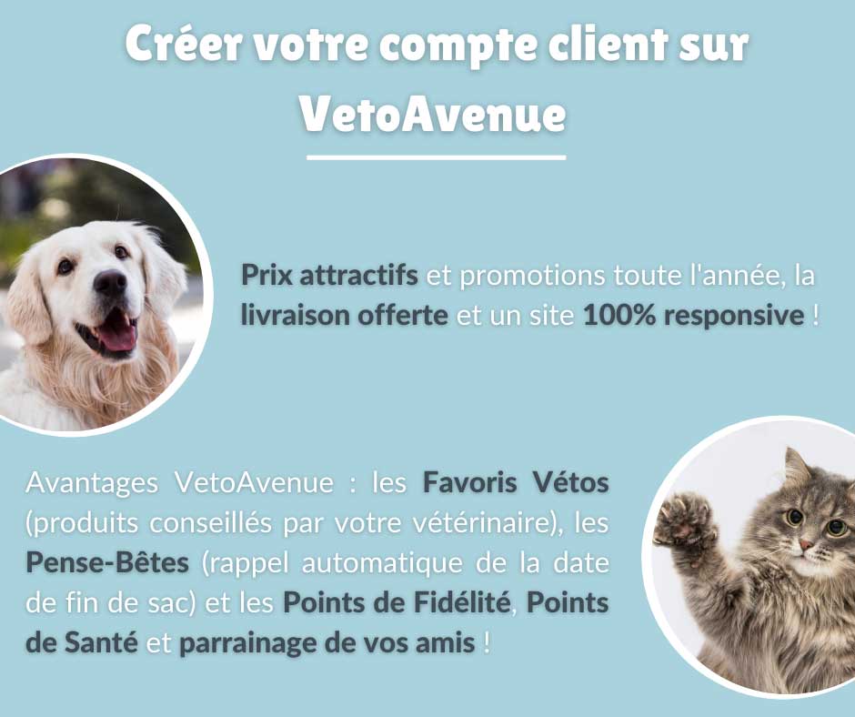 Nourriture et produit d'hygiène pour chien sur VetoAvenue