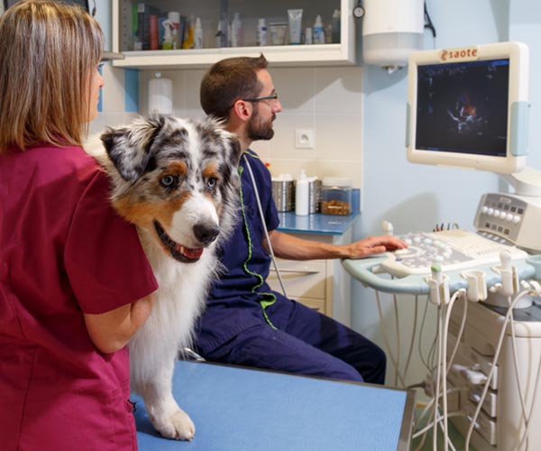 Plateau technique échographie cardiaque